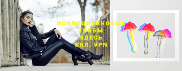 ешки Няндома
