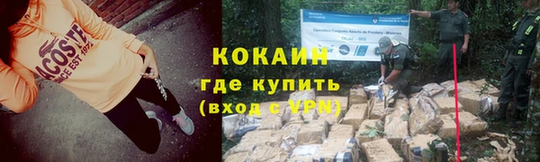 ешки Няндома